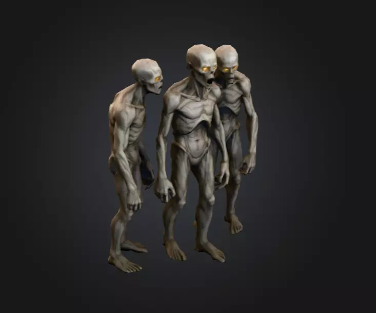 Hollowed Wanderer Low-poly 3D model_10