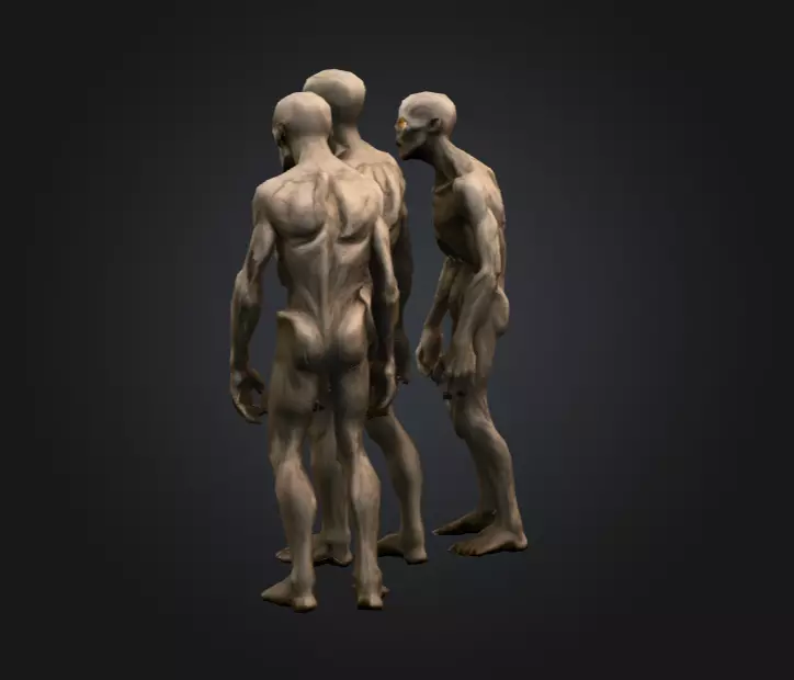 Hollowed Wanderer Low-poly 3D model_5