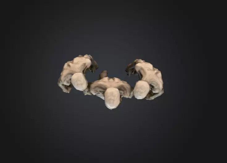 Hollowed Wanderer Low-poly 3D model_14