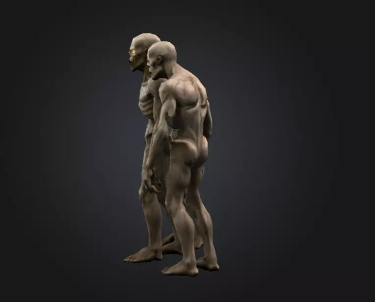 Hollowed Wanderer Low-poly 3D model_6