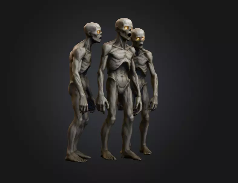 Hollowed Wanderer Low-poly 3D model_1