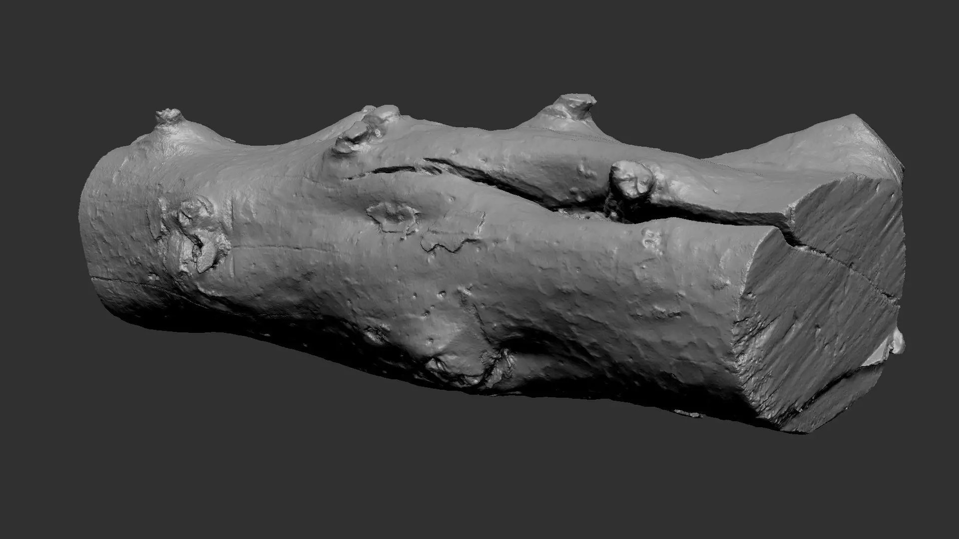 Tree trunk wood ZBrush engraving highpoly 3D model_1