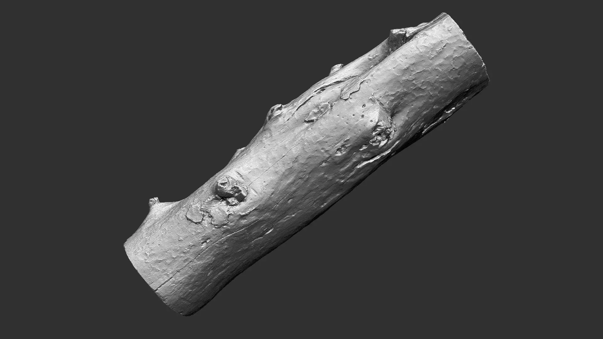 Tree trunk wood ZBrush engraving highpoly 3D model_17