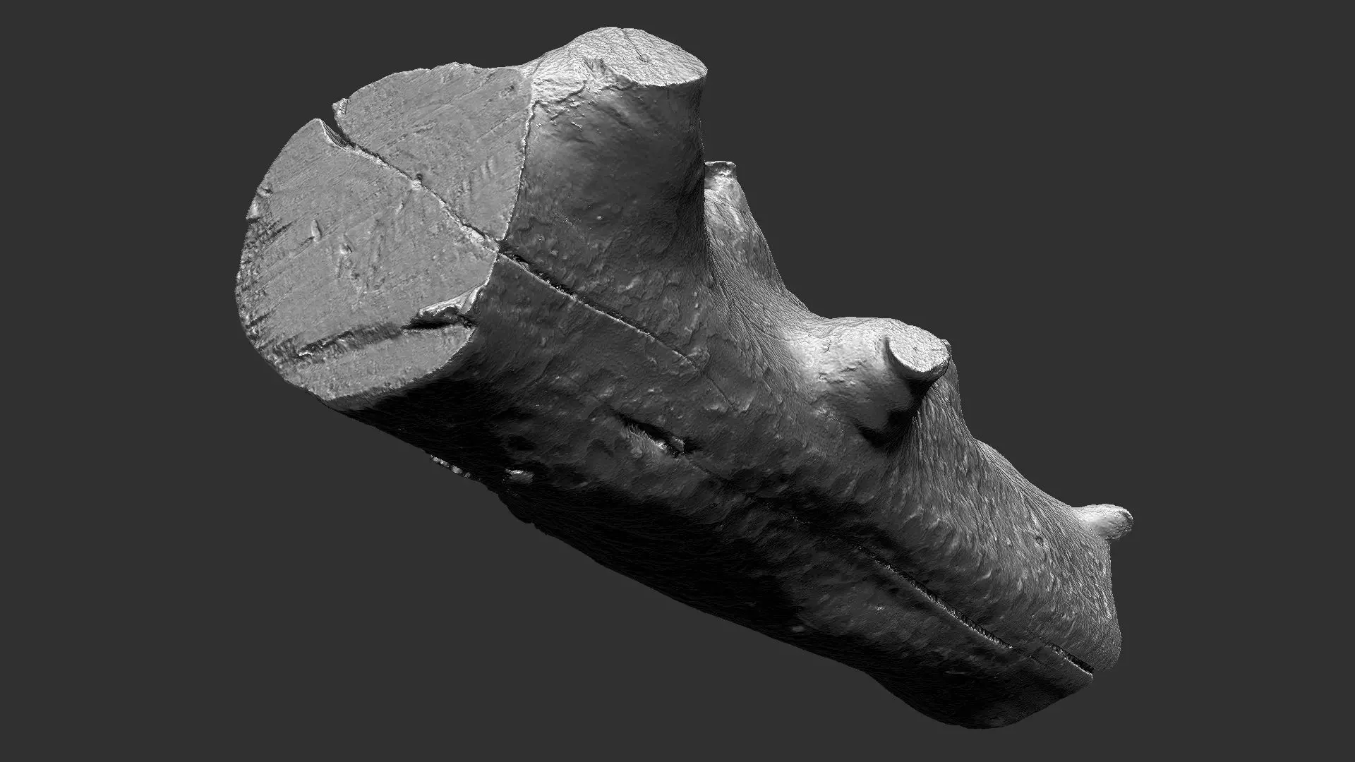 Tree trunk wood ZBrush engraving highpoly 3D model_18