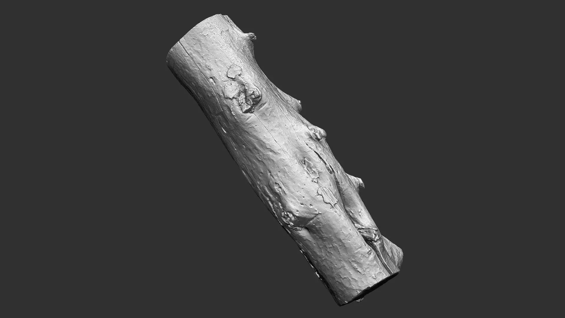 Tree trunk wood ZBrush engraving highpoly 3D model_20