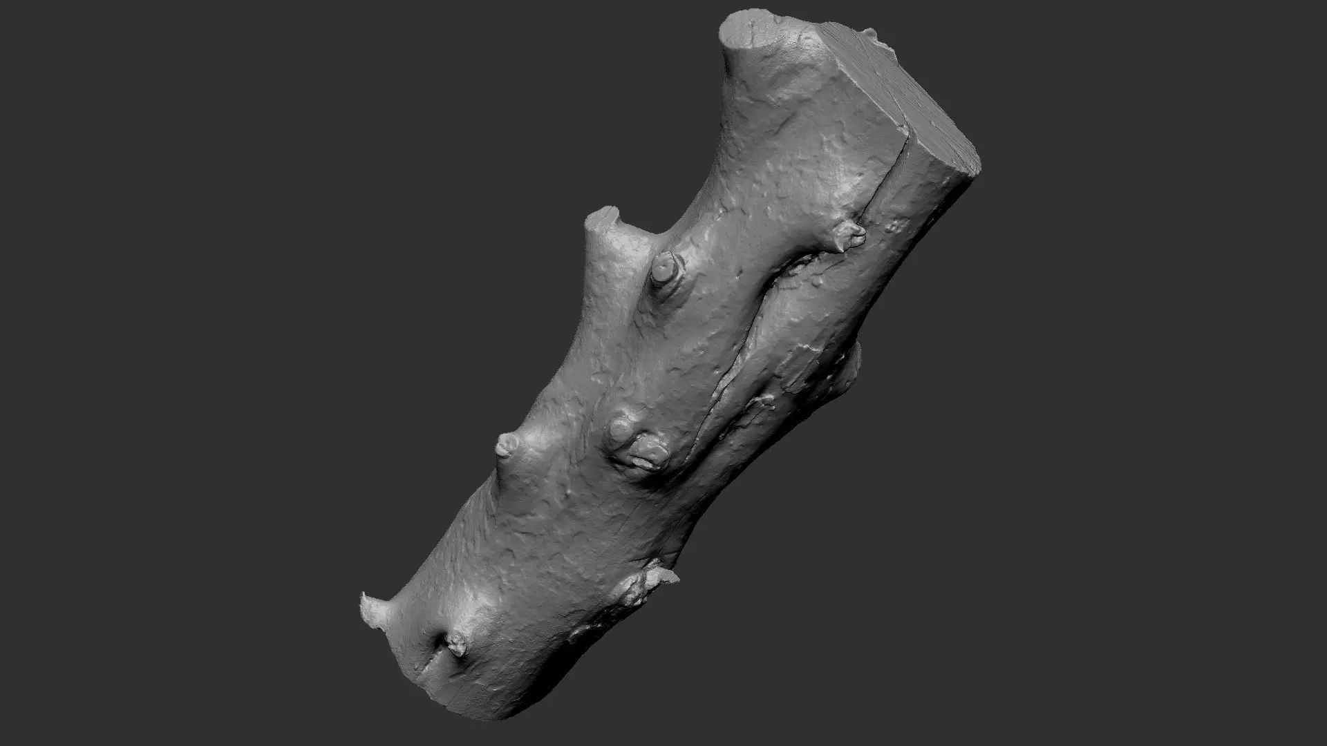 Tree trunk wood ZBrush engraving highpoly 3D model_9