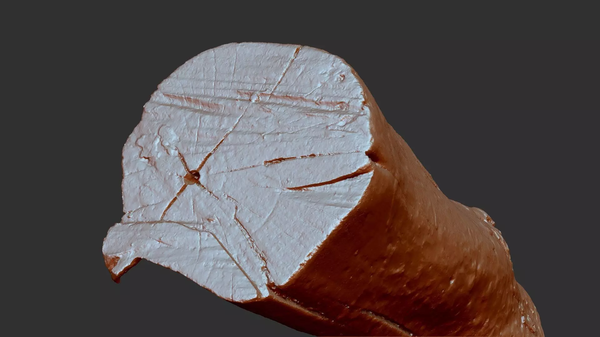 Tree trunk wood ZBrush engraving highpoly 3D model_14