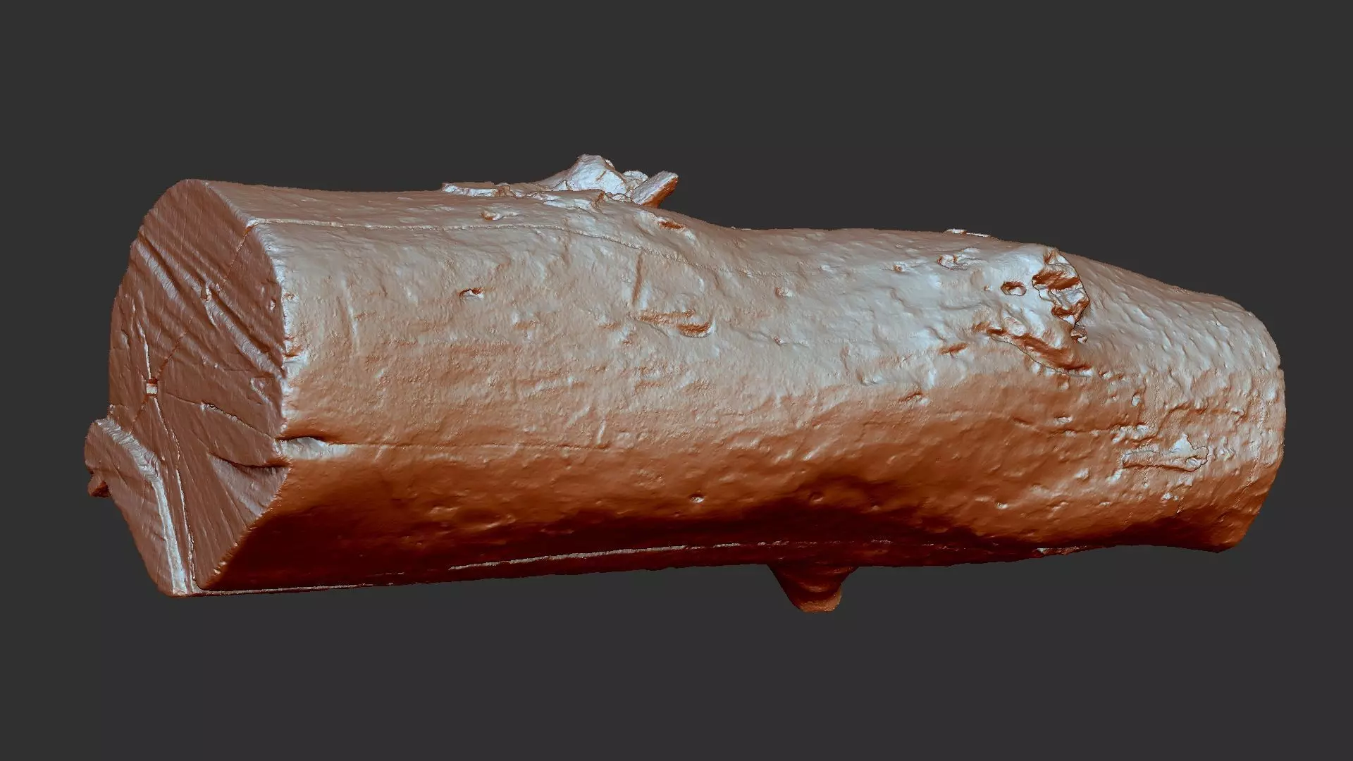 Tree trunk wood ZBrush engraving highpoly 3D model_4