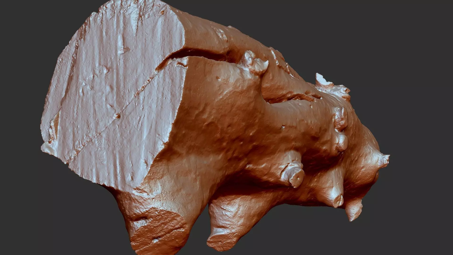 Tree trunk wood ZBrush engraving highpoly 3D model_15