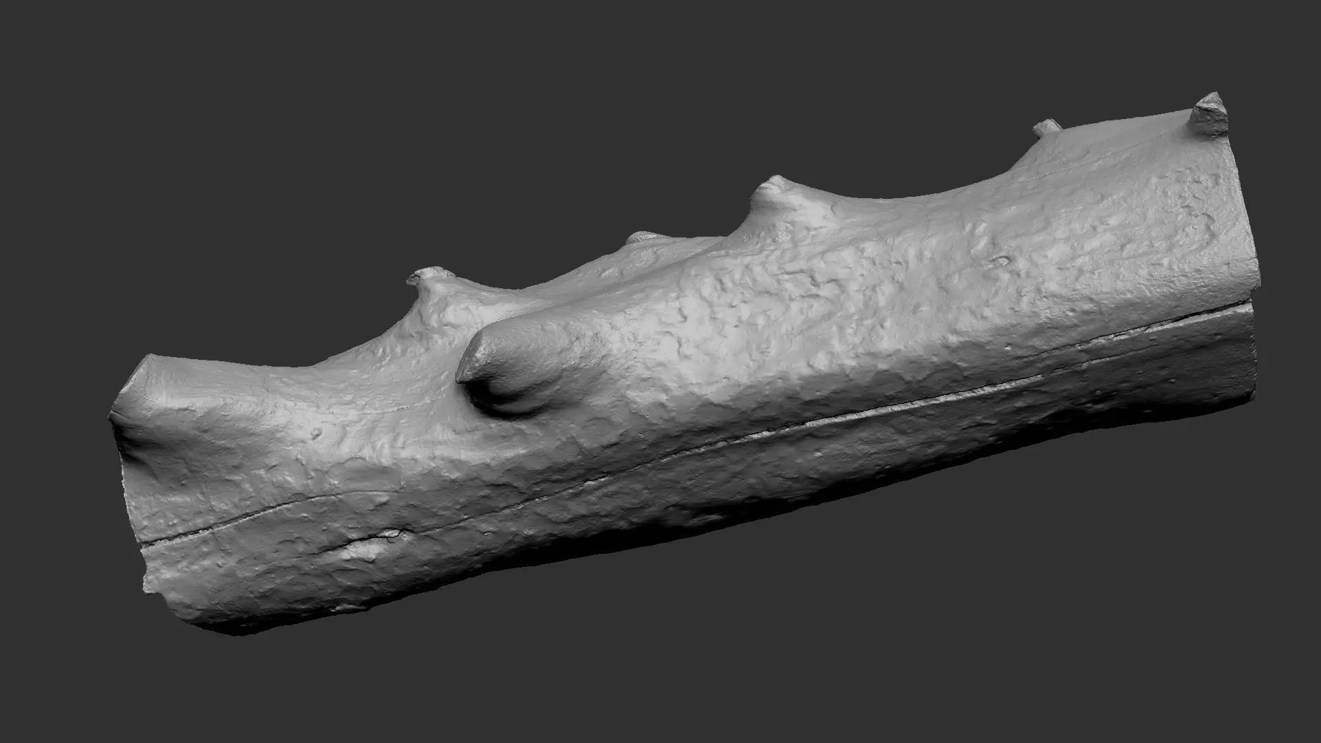 Tree trunk wood ZBrush engraving highpoly 3D model_25