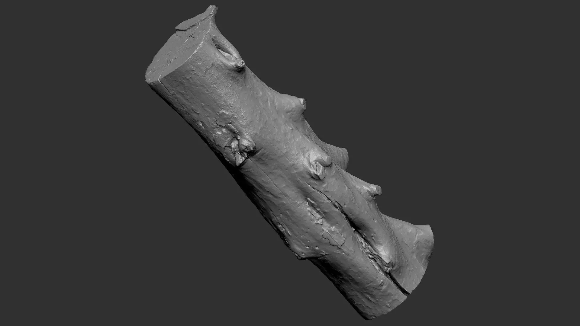Tree trunk wood ZBrush engraving highpoly 3D model_8