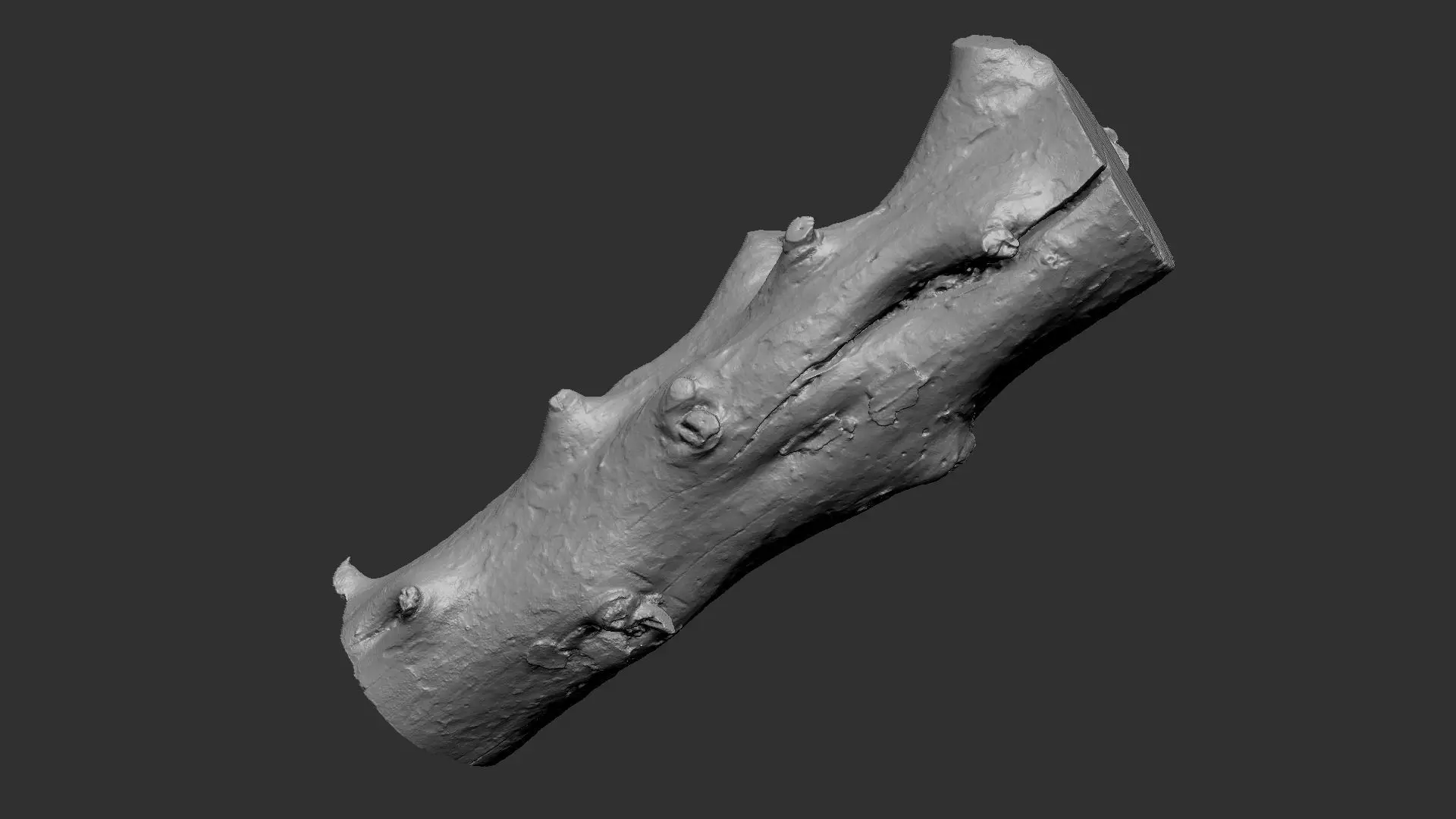 Tree trunk wood ZBrush engraving highpoly 3D model_0