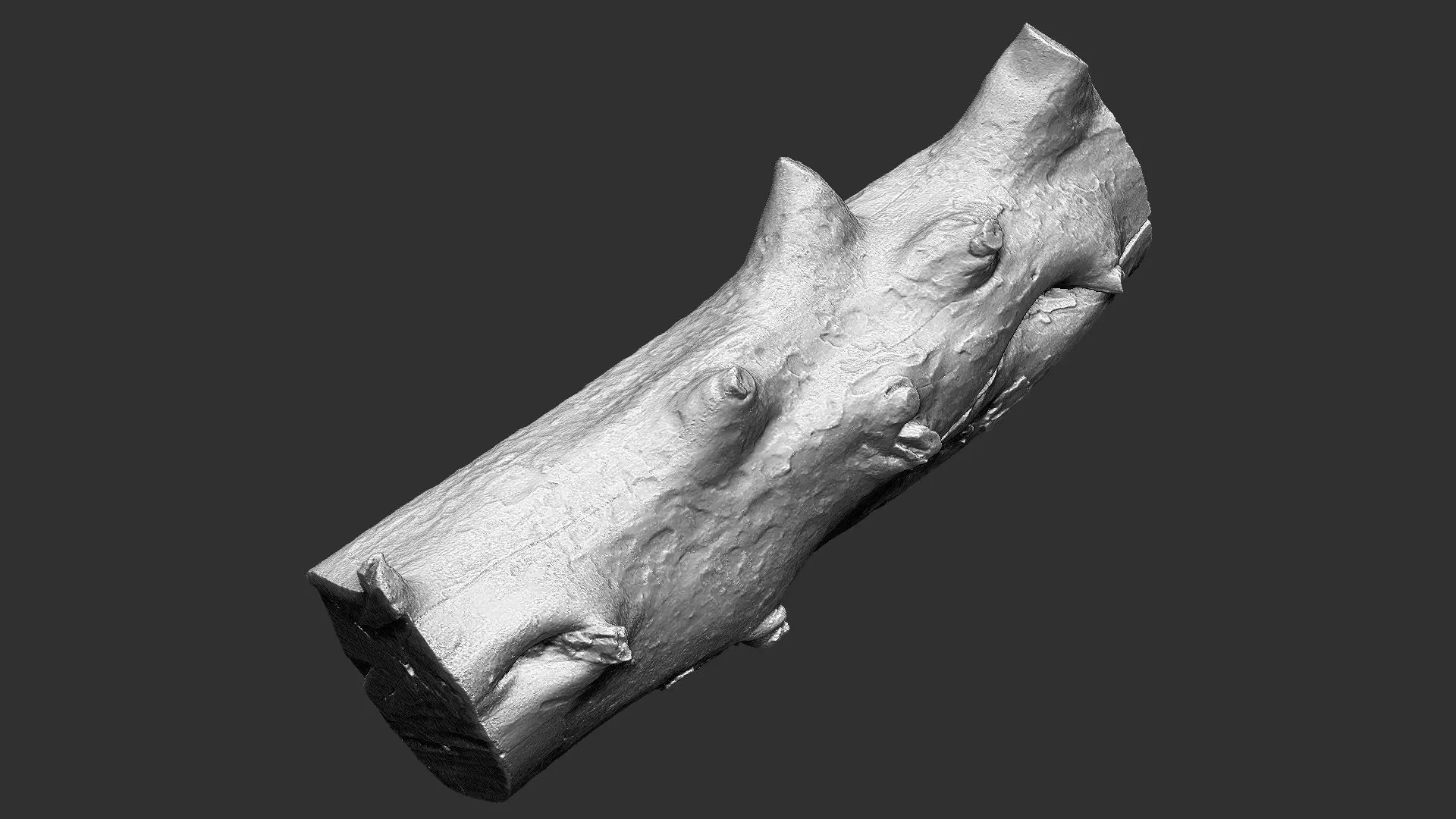 Tree trunk wood ZBrush engraving highpoly 3D model_16