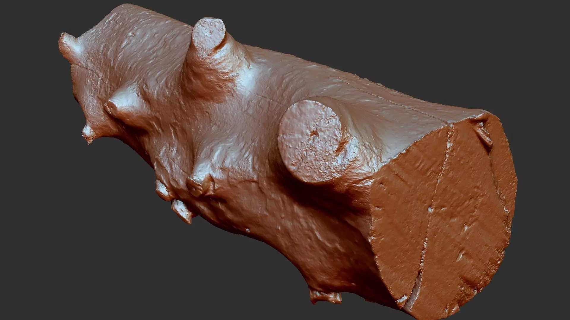 Tree trunk wood ZBrush engraving highpoly 3D model_12