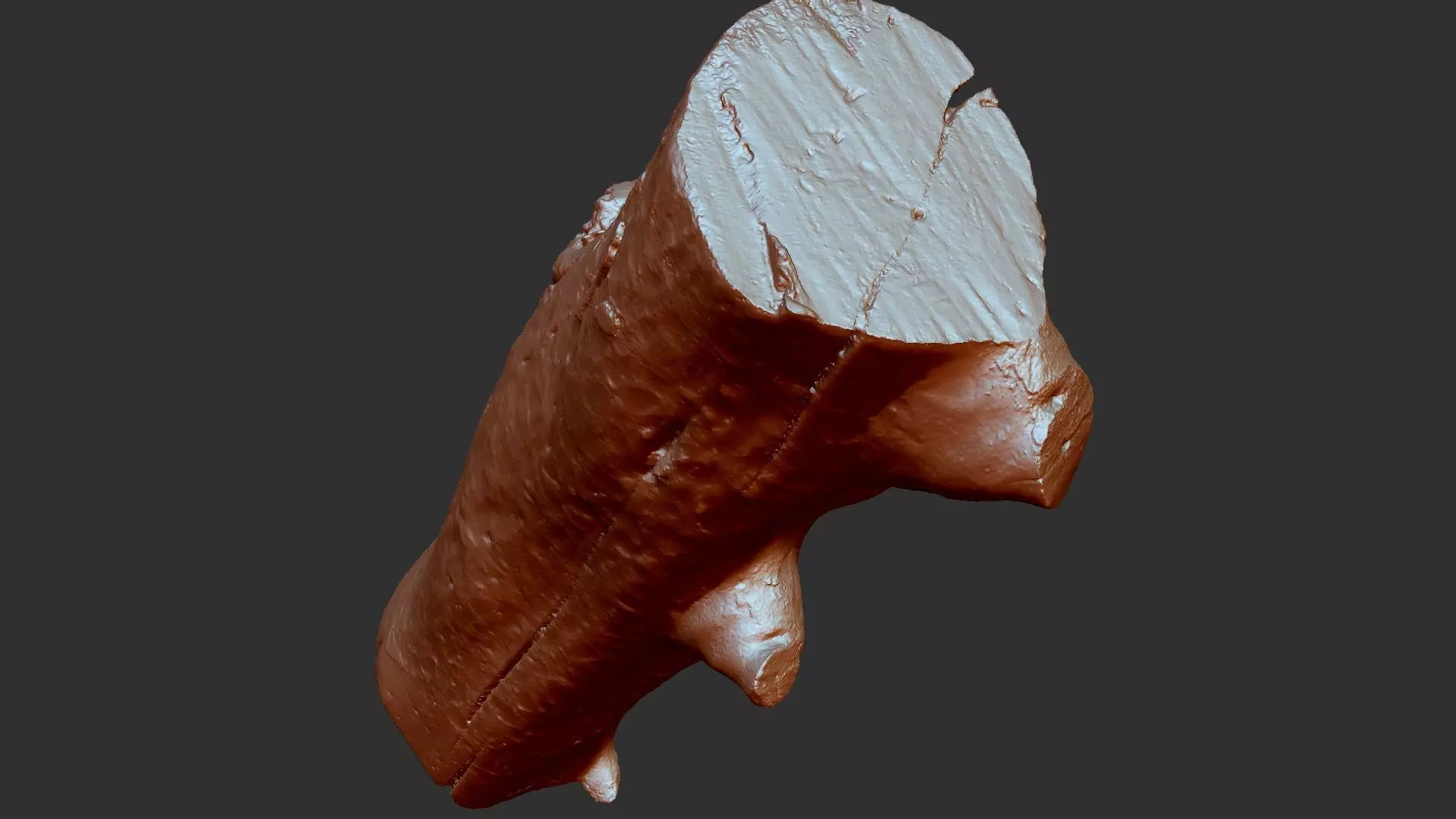 Tree trunk wood ZBrush engraving highpoly 3D model_6