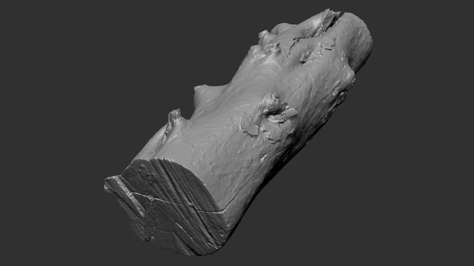 Tree trunk wood ZBrush engraving highpoly 3D model_3