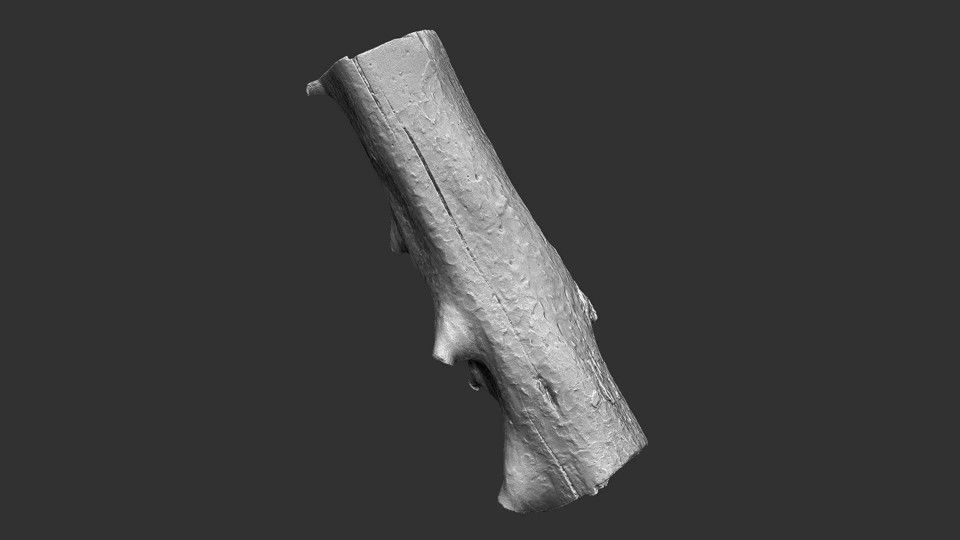 Tree trunk wood ZBrush engraving highpoly 3D model_22