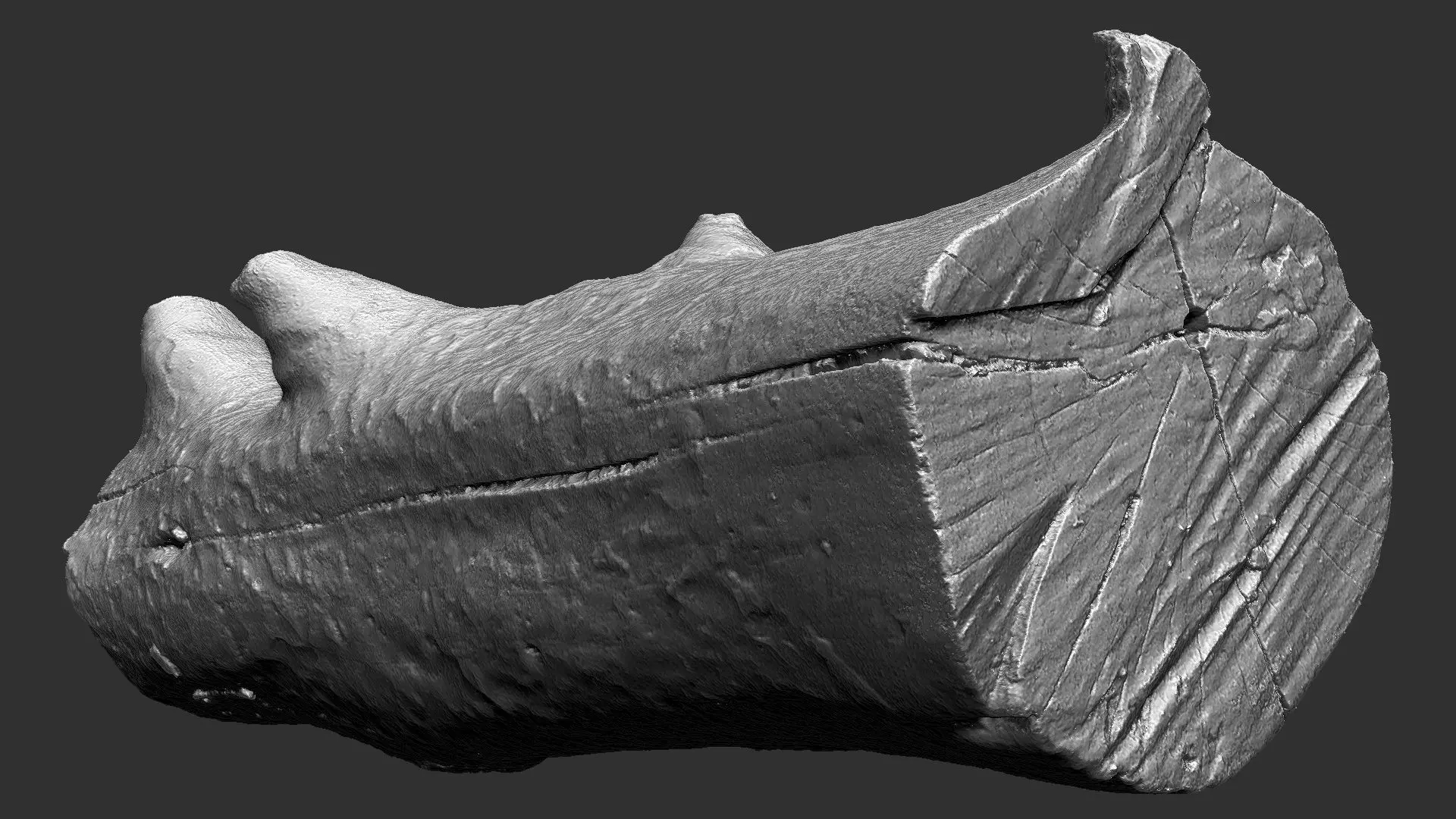 Tree trunk wood ZBrush engraving highpoly 3D model_19