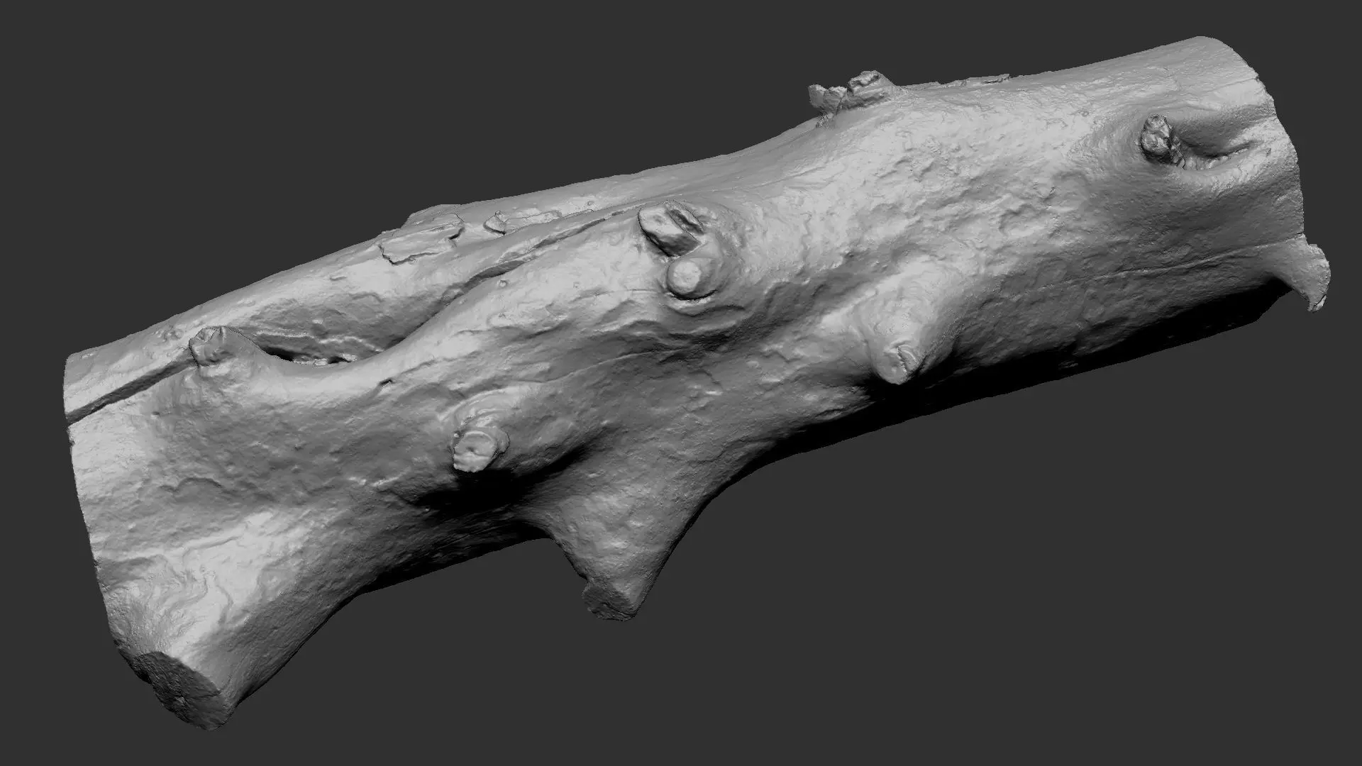 Tree trunk wood ZBrush engraving highpoly 3D model_24