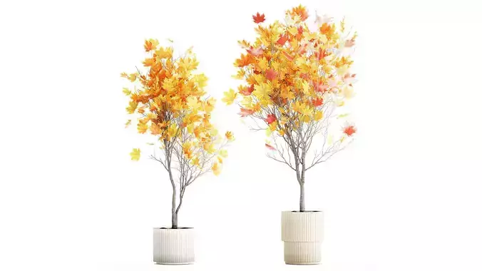 Trees autumn leaves white flowerpot maple sycamore vase decor