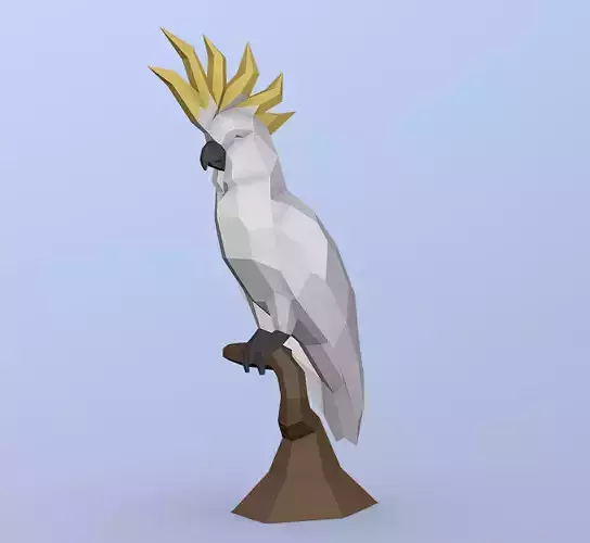 Cockatoo 
