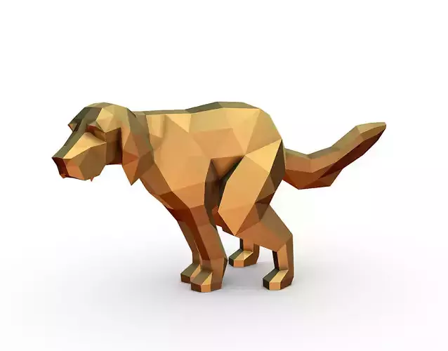 english setter pooping 