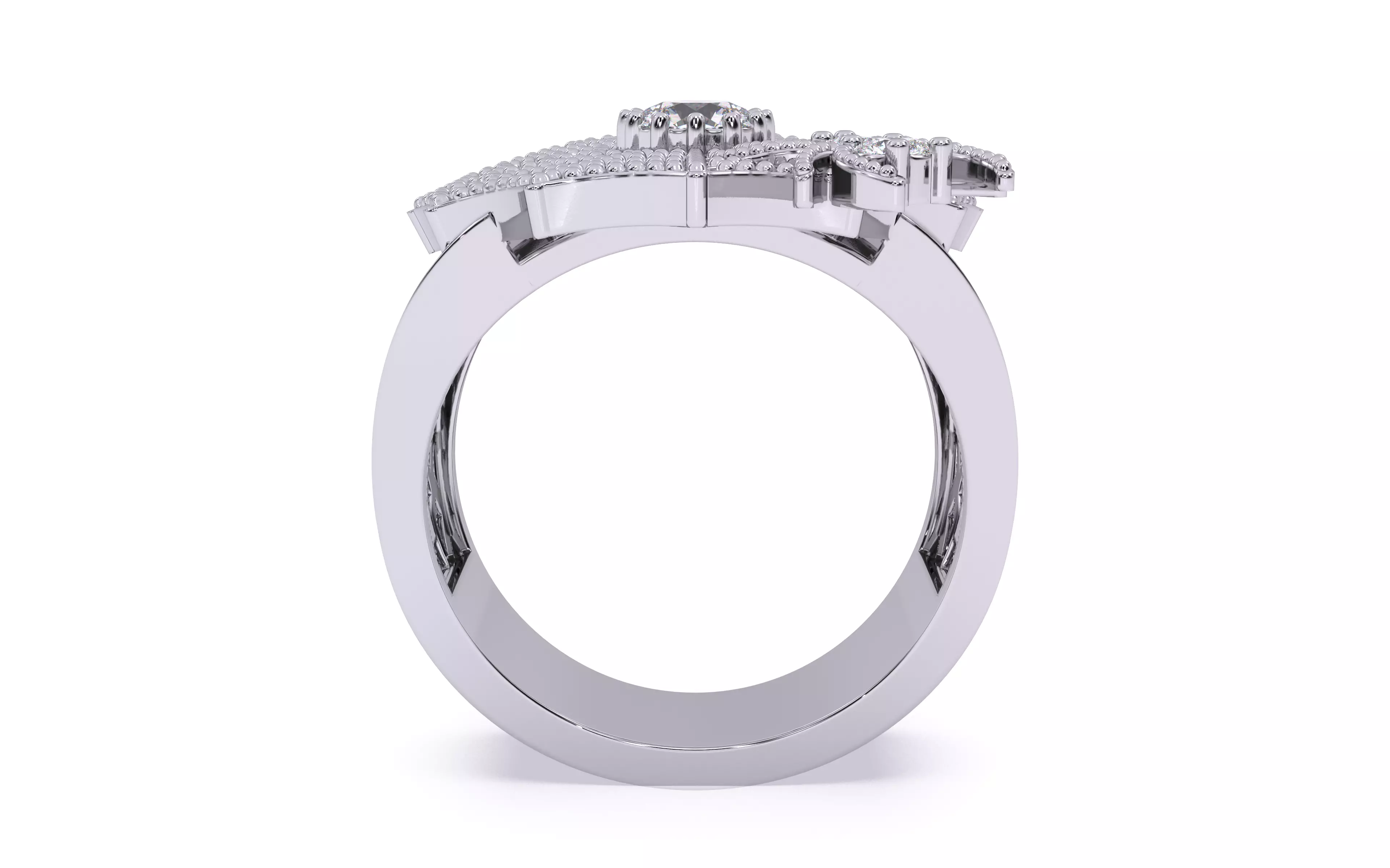 Spider Crawling Web Ring 3dm stl renders details 3D print model_22