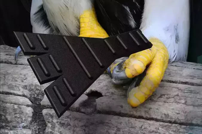 Bird slipper or prosthetic for paralyzed birds