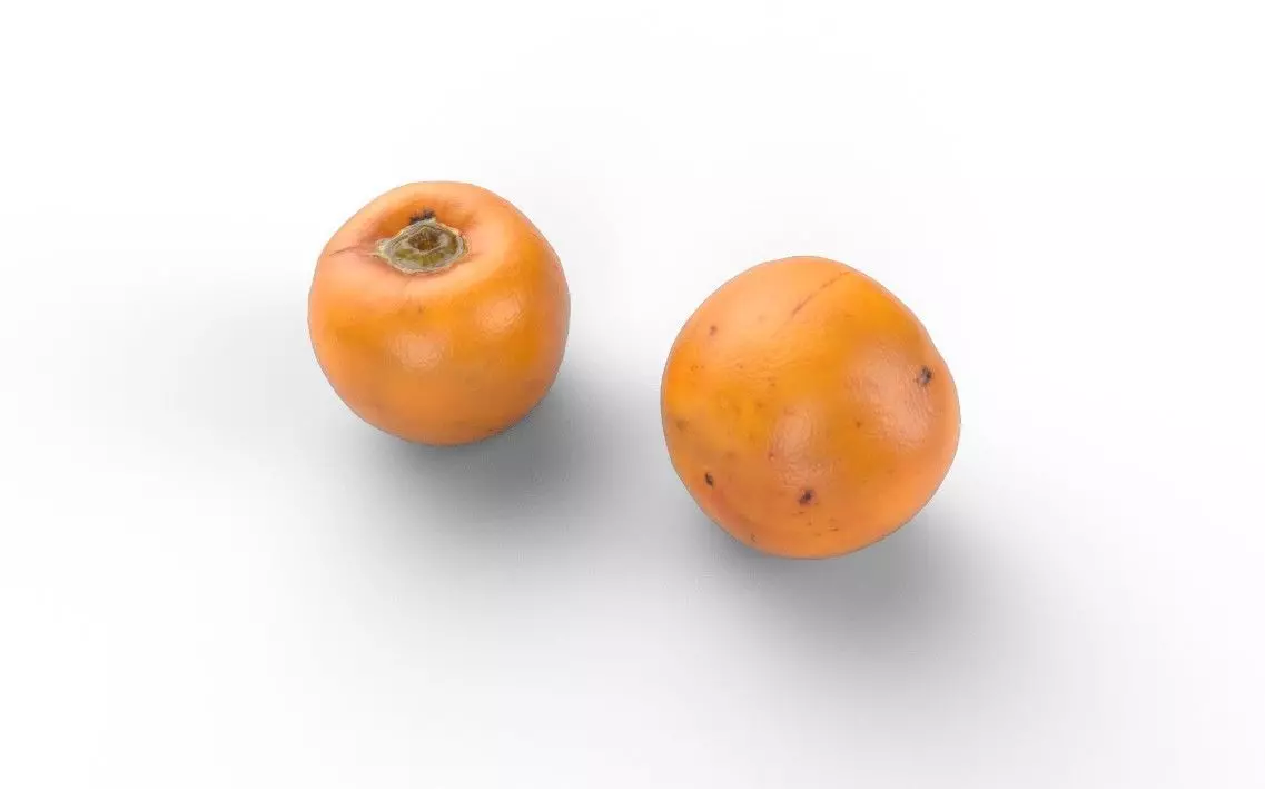 Persimmom M03 Low-poly 3D model_3