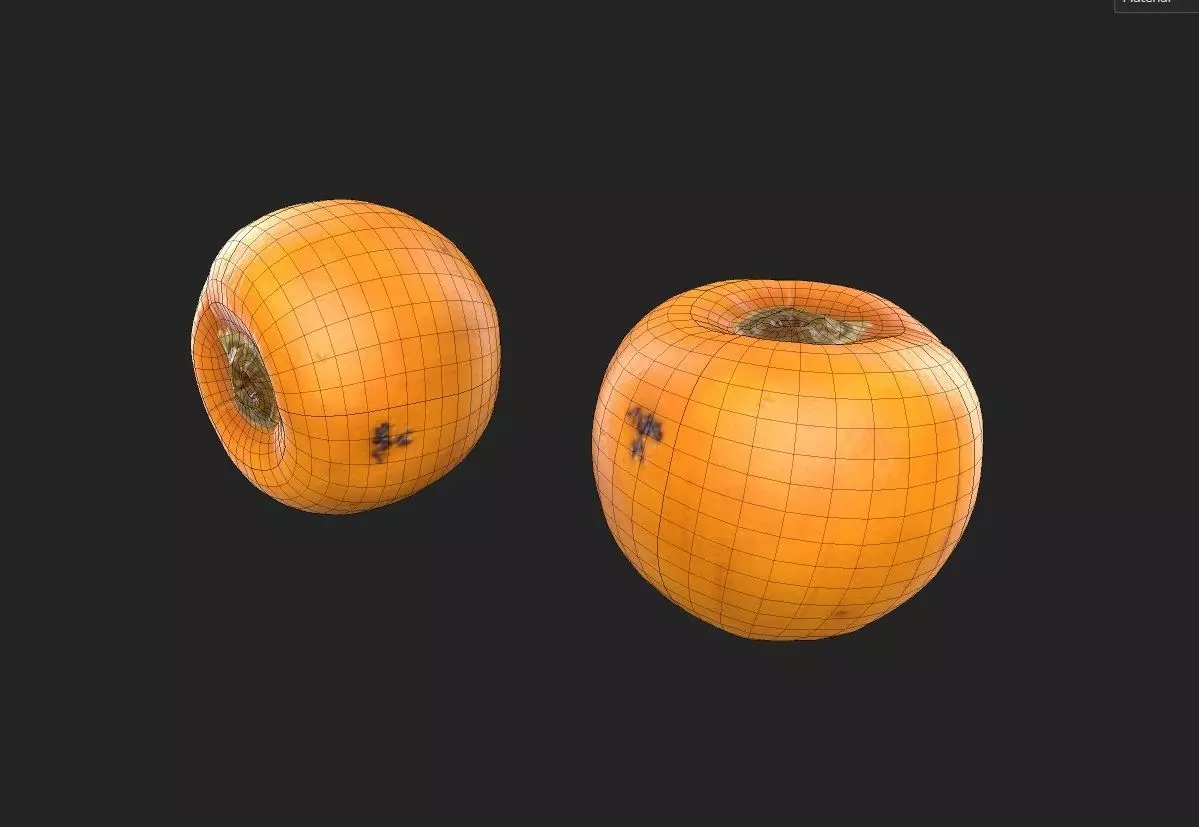 Persimmom M03 Low-poly 3D model_6