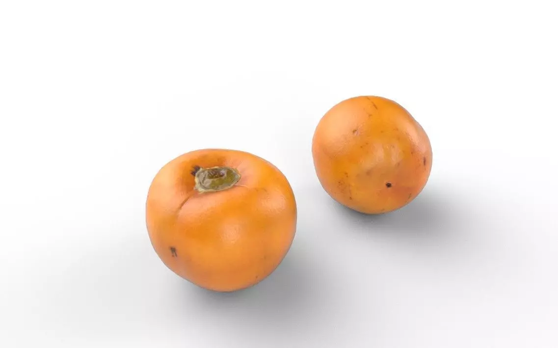 Persimmom M03 Low-poly 3D model_0