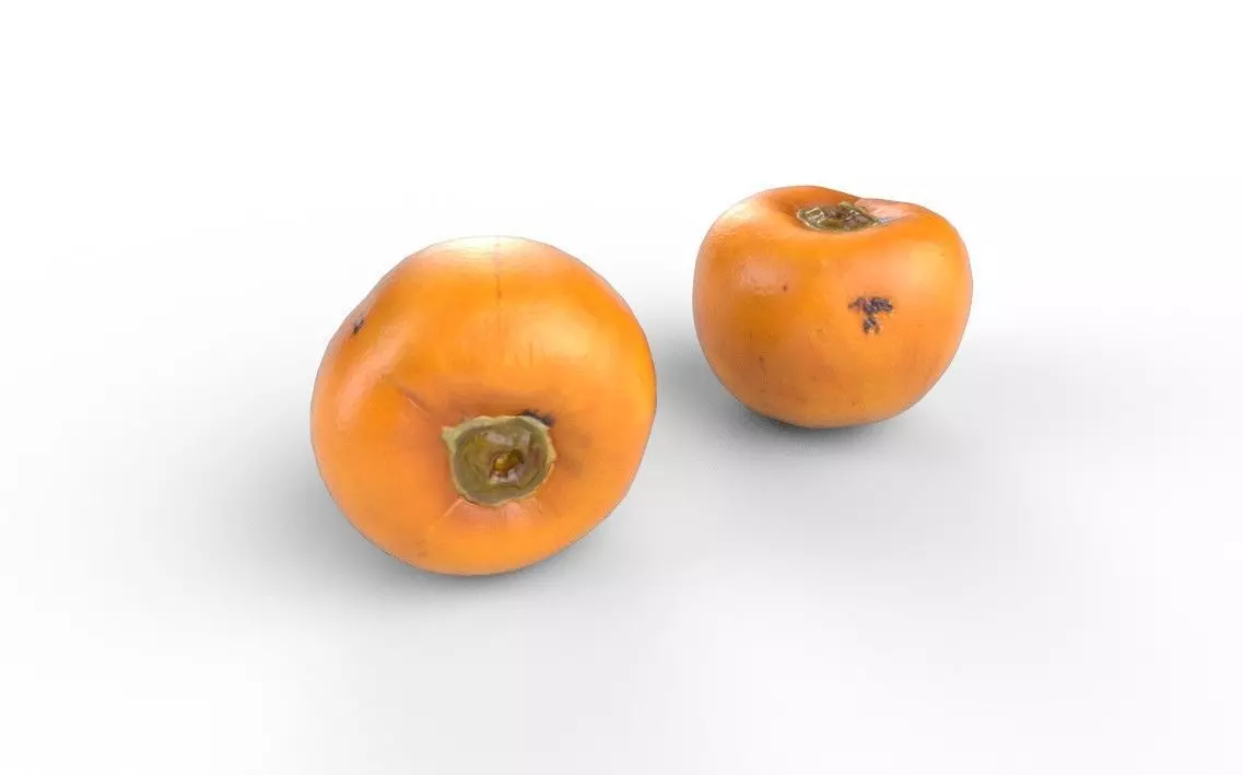 Persimmom M03 Low-poly 3D model_4