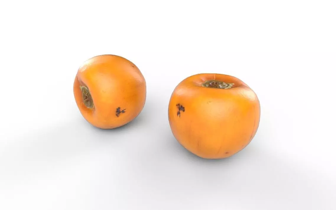 Persimmom M03 Low-poly 3D model_5