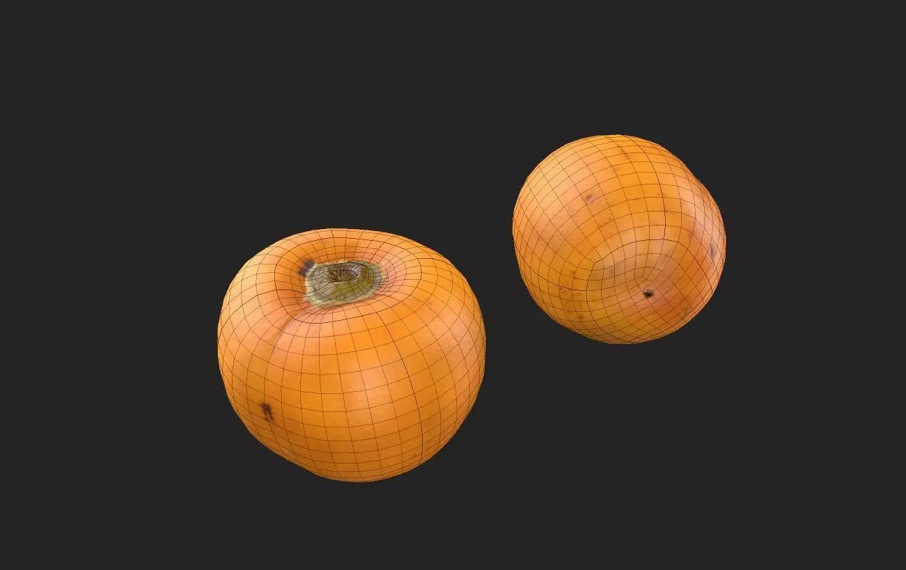 Persimmom M03 Low-poly 3D model_1