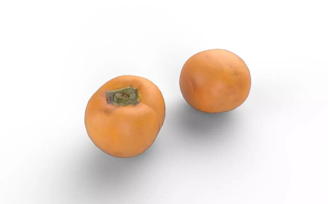 Persimmom M04 Low-poly 3D model_0