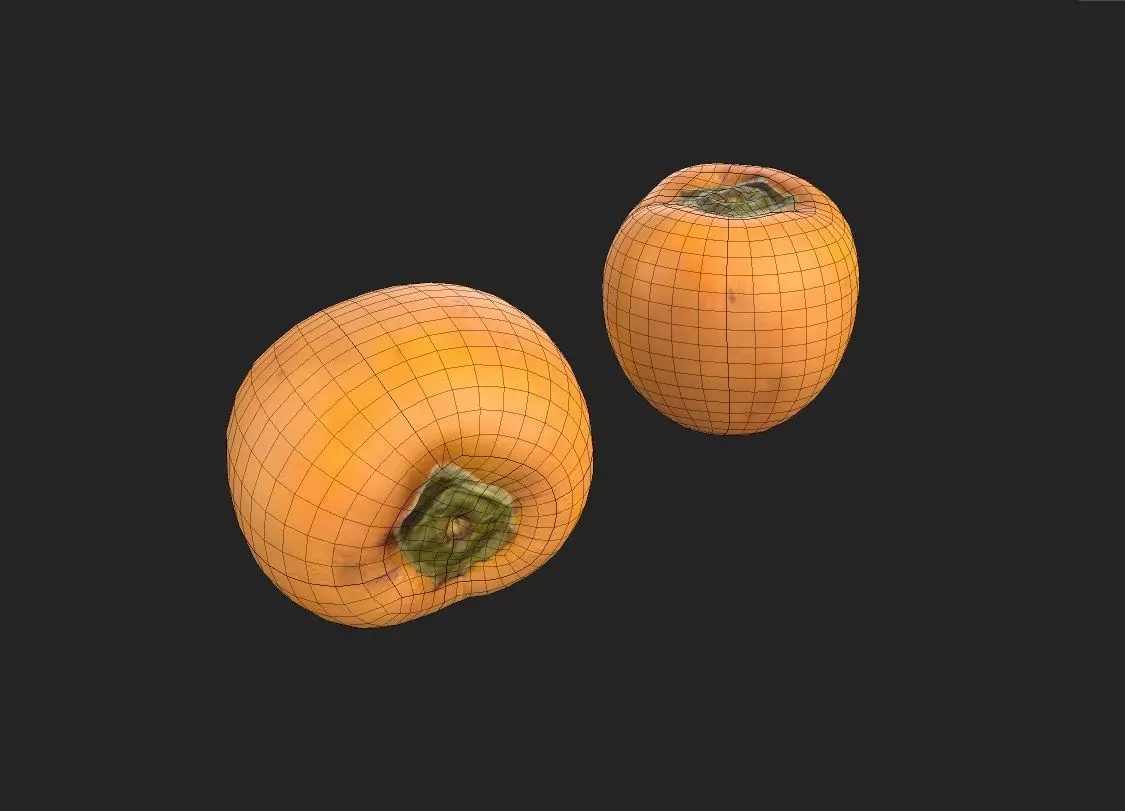 Persimmom M04 Low-poly 3D model_6