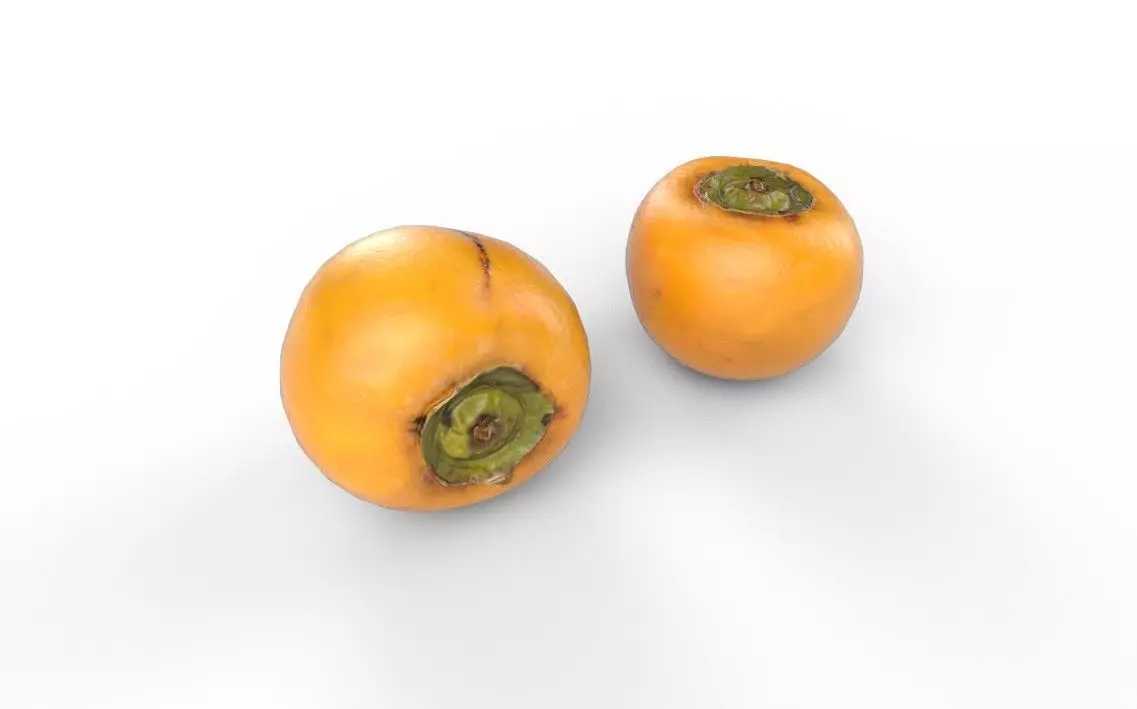 Persimmom M05 Low-poly 3D model_4