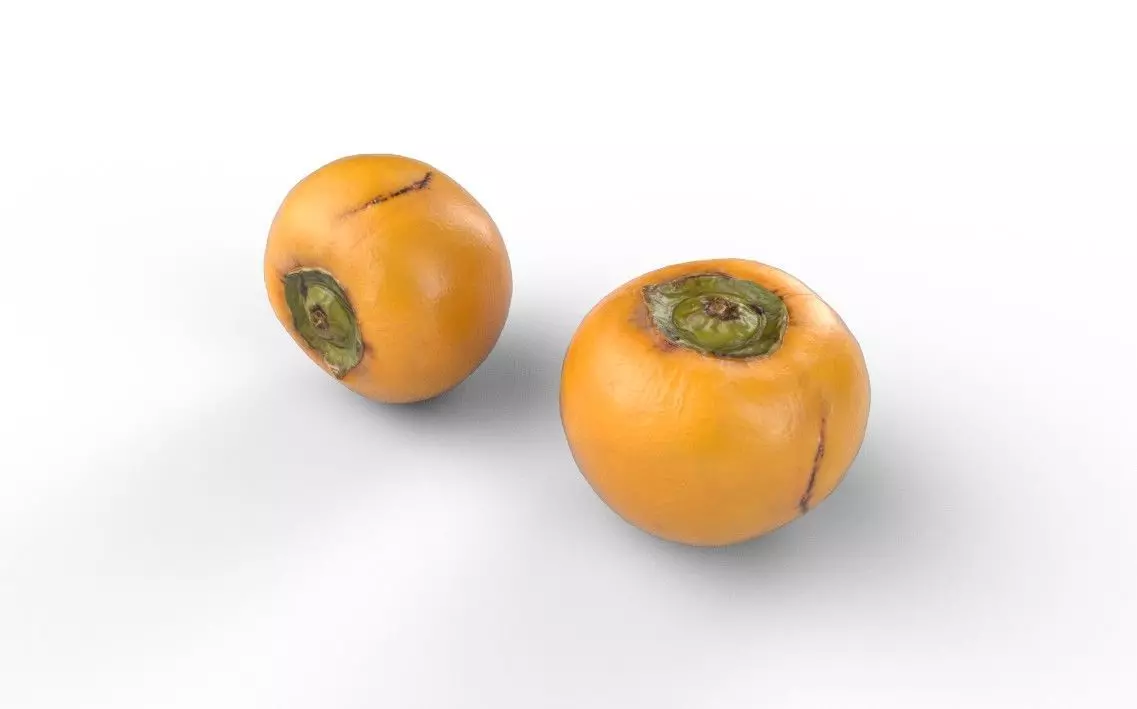 Persimmom M05 Low-poly 3D model_5