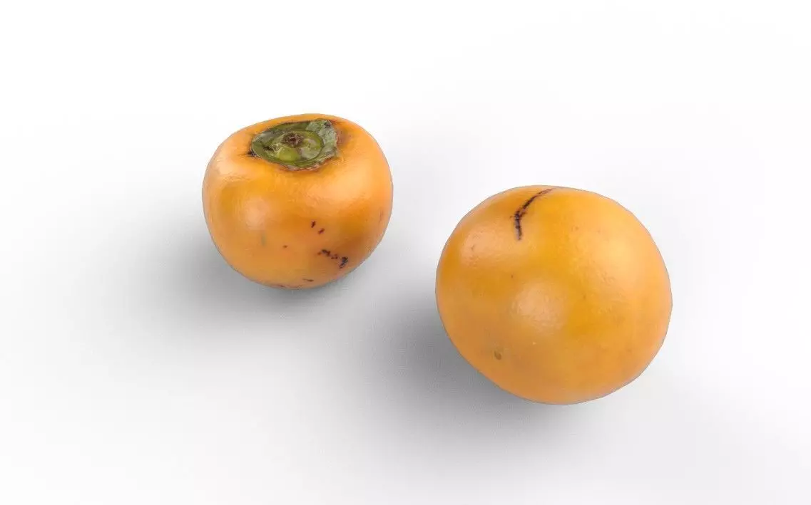 Persimmom M05 Low-poly 3D model_3