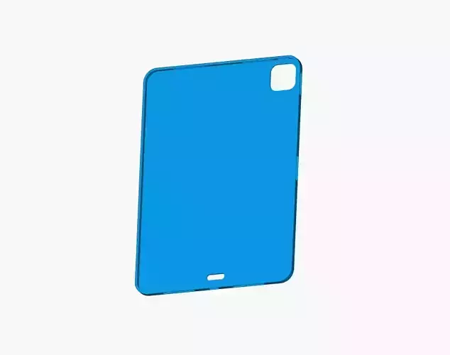 Apple iPad Pro 11  2025  case