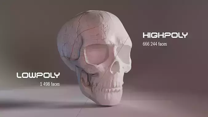 Low poly and High poly skull