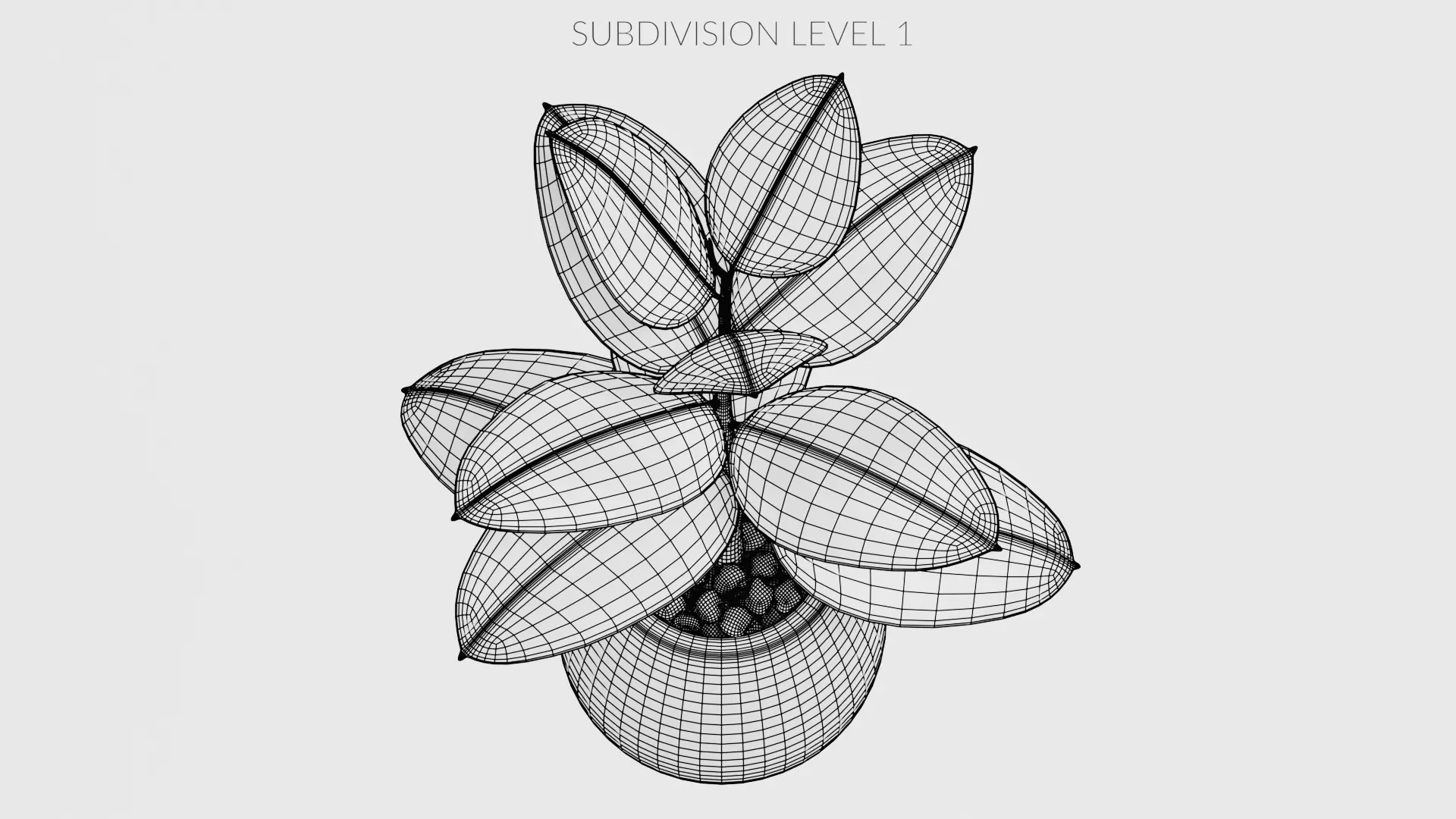 -Ficus in Pot V1- 3D model_12