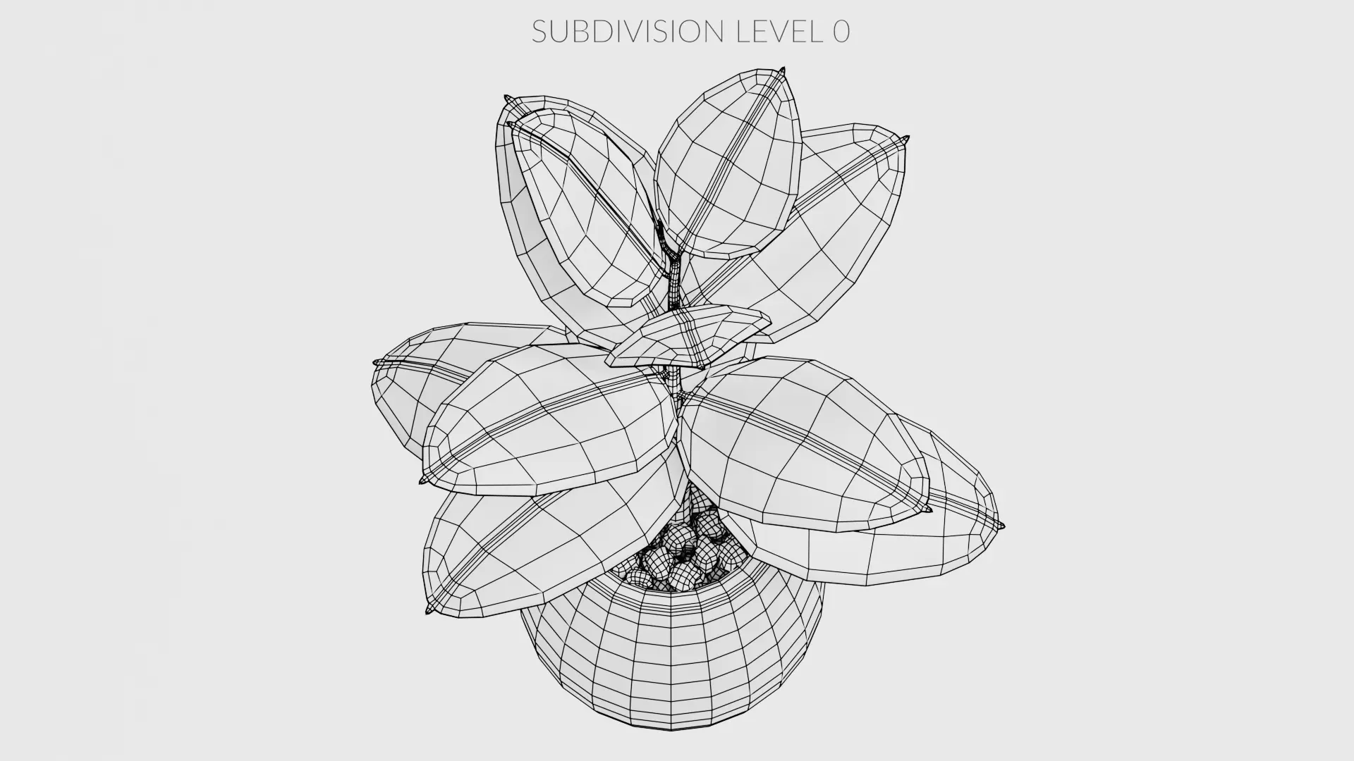 -Ficus in Pot V1- 3D model_11