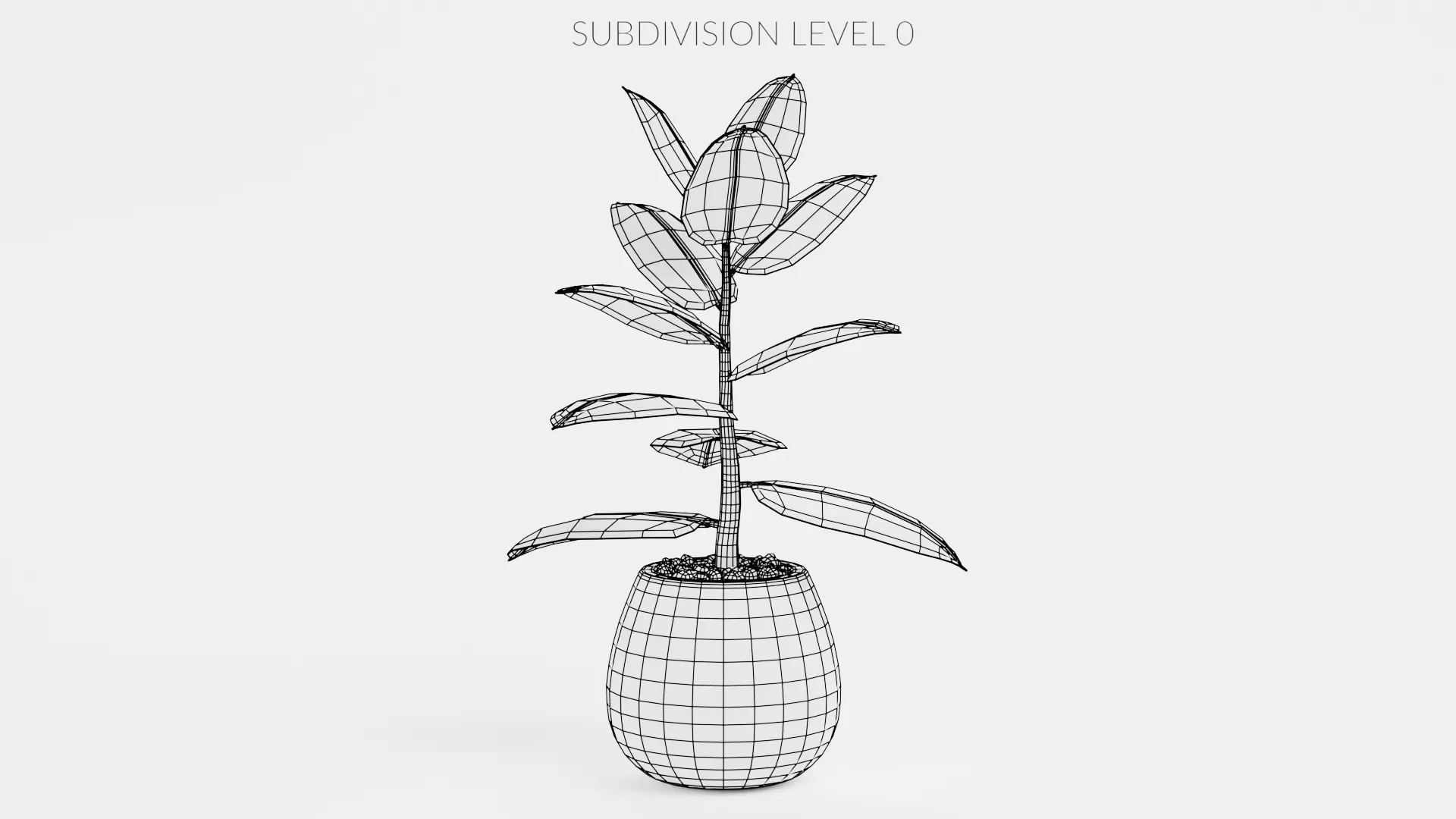 -Ficus in Pot V1- 3D model_9