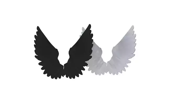 Angel and Demon Wings