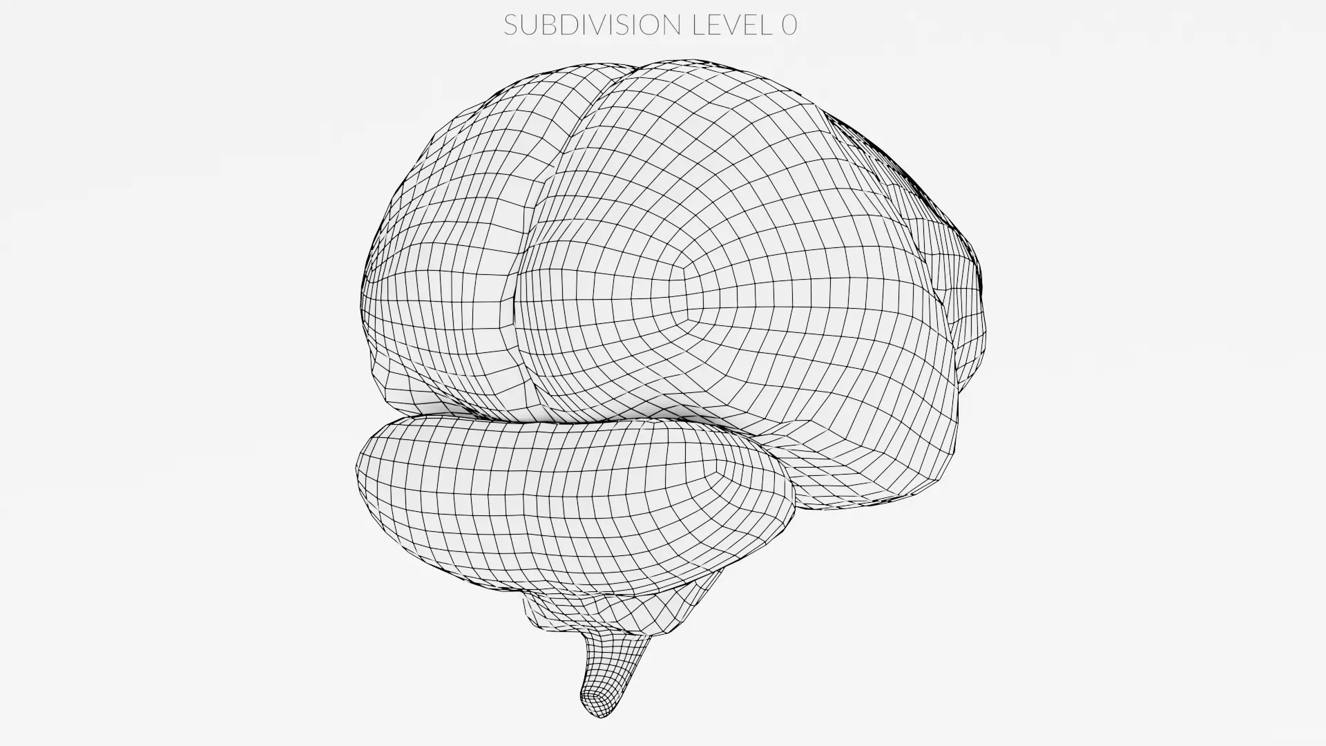 -Human Brain- 3D model_11