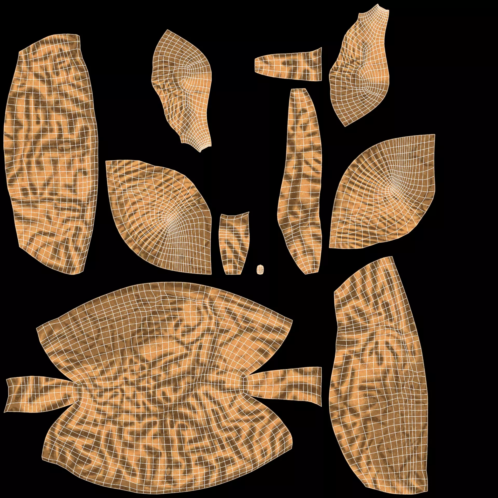 -Human Brain- 3D model_8