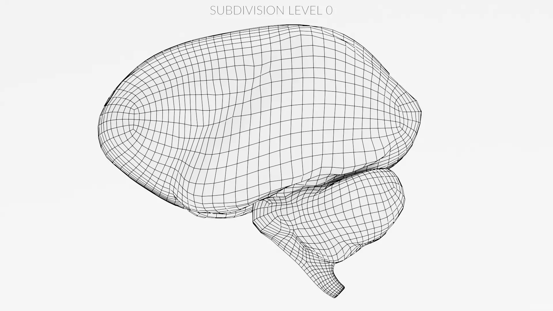 -Human Brain - Fresh- 3D model_11