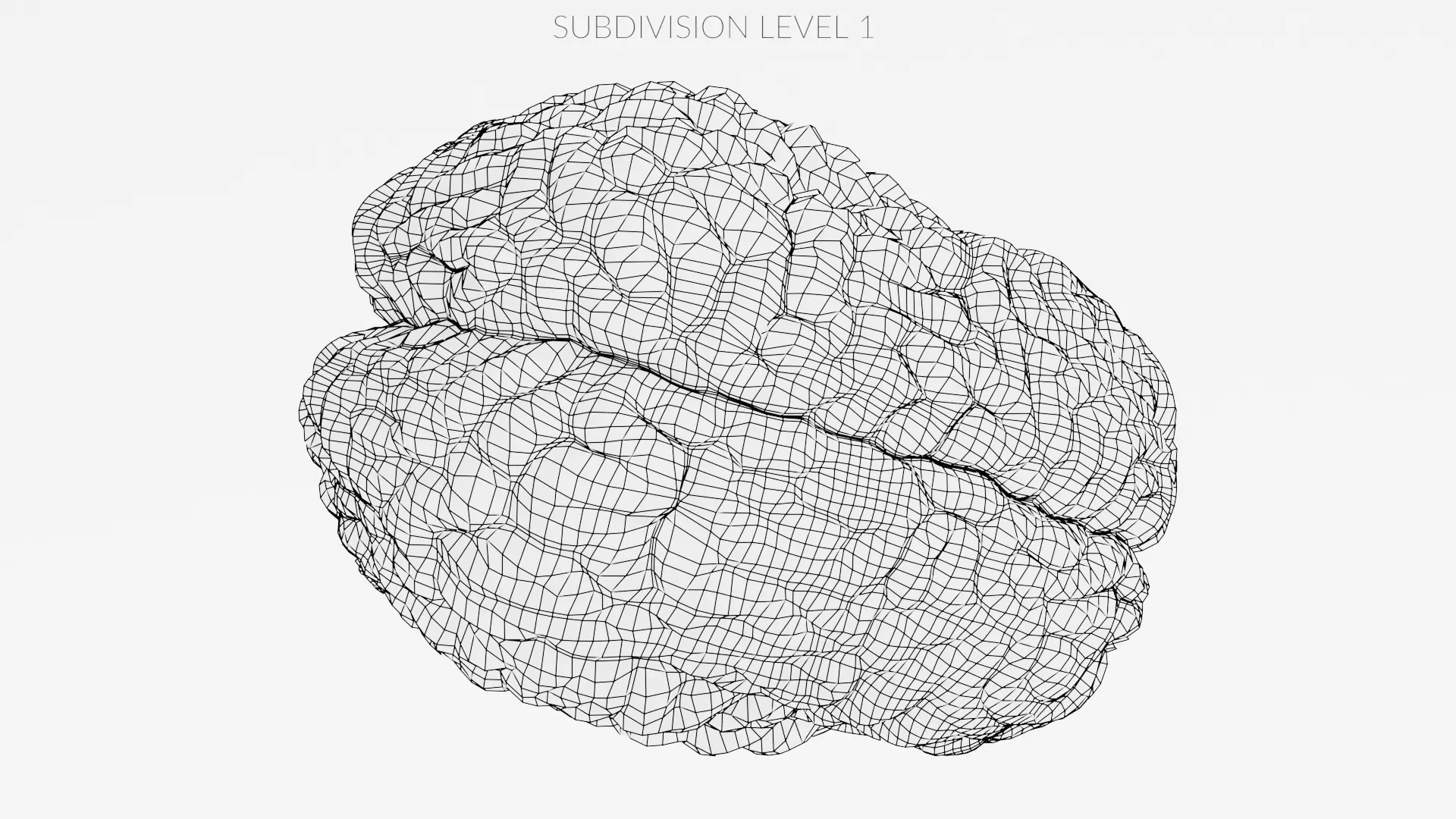 -Human Brain - Fresh- 3D model_16