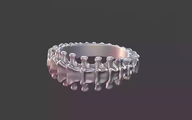 Vertebra Bone Ring
